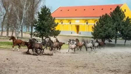Értékteremtésből adnak mintát