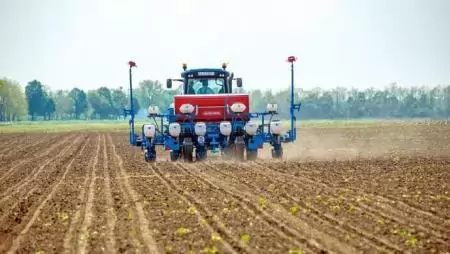 Ki mint vet… Dalmandon – A genetikai fejlődés tart  bennünket szinten