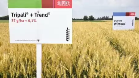 Mindenből a legjobbat – A DuPont és a Pioneer közös szántóföldi bemutatói