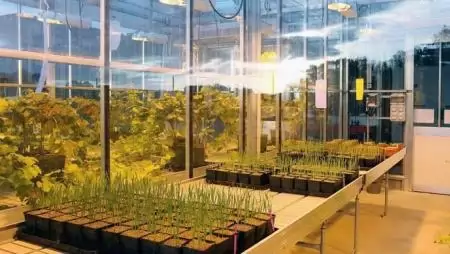 Felpörgetve  – Amit a Physio Activator technológiáról  (PAT) tudni érdemes