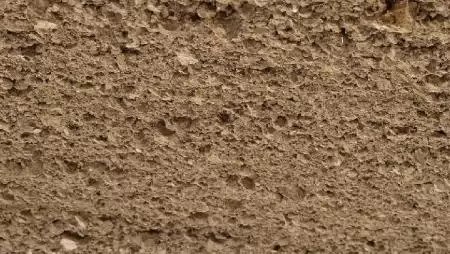 Kötelezettségből haszon