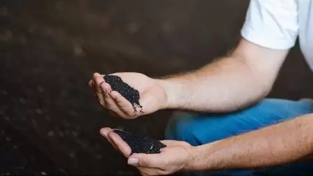 Kiemelkedő eredmény repcében a Phylazonittal
