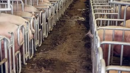 Három korszerűsítést támogató pályázatot függesztett fel a Miniszterelnökség