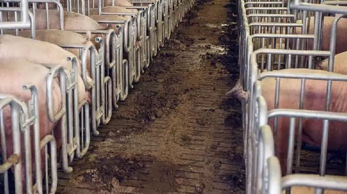 Három korszerűsítést támogató pályázatot függesztett fel a Miniszterelnökség