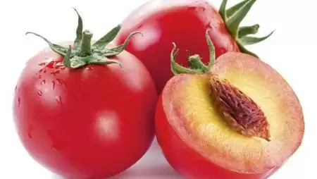 GMO pró és kontra – A génmódosítás körüli vita legújabb fejezetei