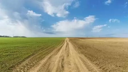 Hatósági jóváhagyáshoz nem kötött földhasználati szerződések
