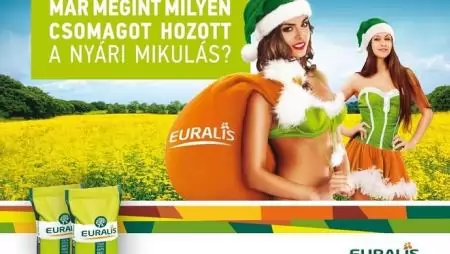 Repcetermesztés jövedelmezően az Euralis hibridjeivel