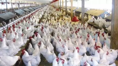 Aktuális pályázatok  és támogatások