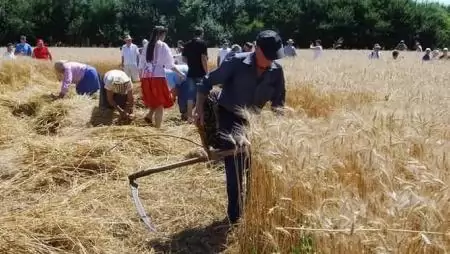 A mezőgazdaságban is tovább emelkedett a foglalkoztatottak száma