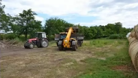 Halálos baleset egy állattartó telepen