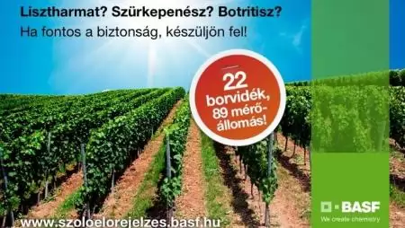 Felkészülni, vigyázz, kész – Szőlővédelemre fel!