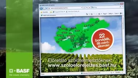 Segítség a szőlő védelmében