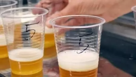 Jól szerepeltek a búzasörök a NÉBIH tesztjén
