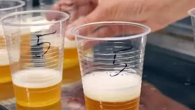 Jól szerepeltek a búzasörök a NÉBIH tesztjén