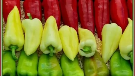 „A MAGYAR PAPRIKA NAPJA” KONFERENCIA ÉS KIÁLLÍTÁS  KECSKEMÉT, 2016. AUGUSZTUS 26. 