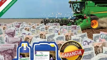 Szerves tápanyag az őszi búzának – a kukorica tarlómaradványai   