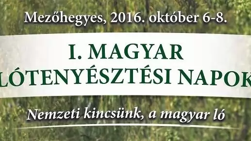 Október elején rendezik a mezőhegyesi Magyar Lótenyésztési Napokat