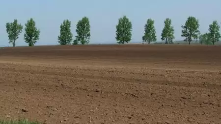 Újabb vidékfejlesztési pályázatok jelennek meg ősszel