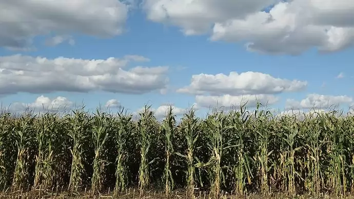 Magyarország és Románia összehangolja agrárdiplomáciai erőfeszítéseit