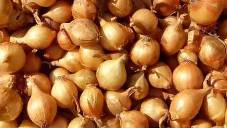 Hagymanapot rendeznek Ópusztaszeren