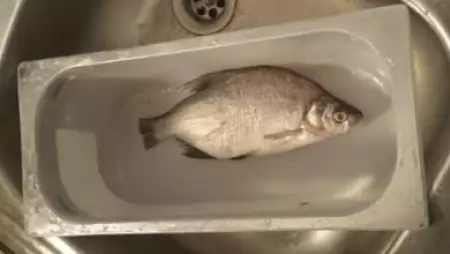 Több mint 200 kiló halat foglalt le az ÁHSZ