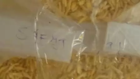 Illegális boltban árulták a lejárt chipseket