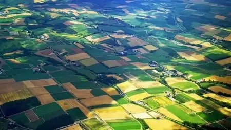 Illegális vendégmunkások a japán mezőgazdaságban