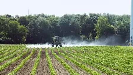 Interra Farm Hálózat