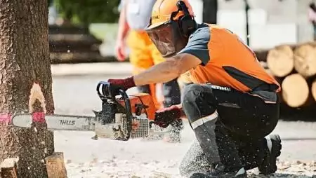 Legjobb a legjobbak között