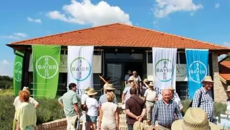 Szőlővédelem 2016 – Szőlős Bayer Légyott Cegléden