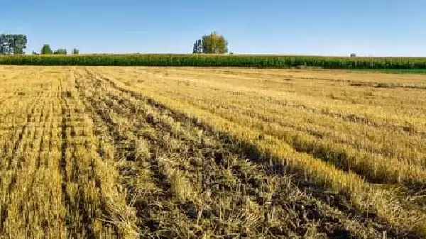 Haszonbérlet  megszüntetése