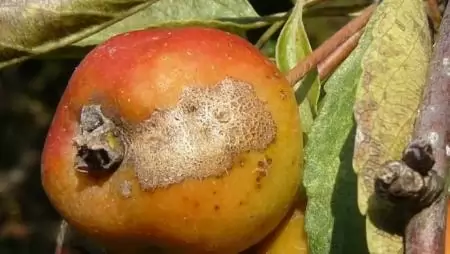 Kiből lesz növényorvos?