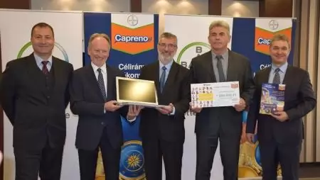 Célirányos hatékonyság