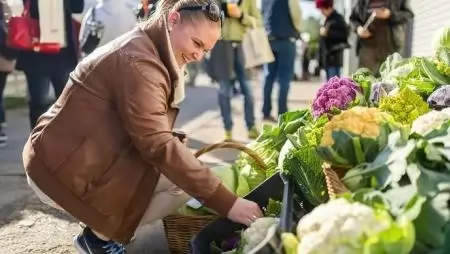 Nem tudni, ki szedi le a káposztát idén