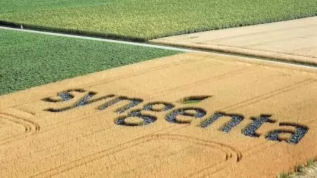 A Syngenta bővítette latin-amerikai és európai gyártókapacitását
