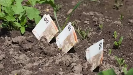 Megjelent a rendelet az egységes területalapú támogatásról