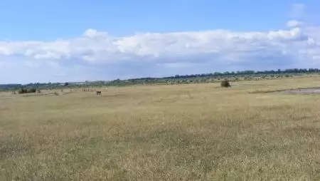 Az állami termőföldek értékesítési folyamata változatlan 