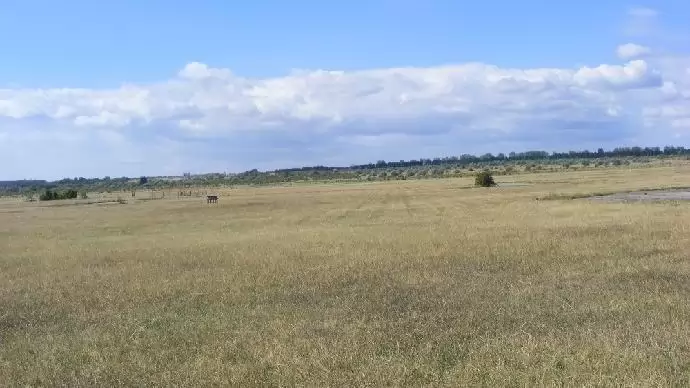 Az állami termőföldek értékesítési folyamata változatlan 