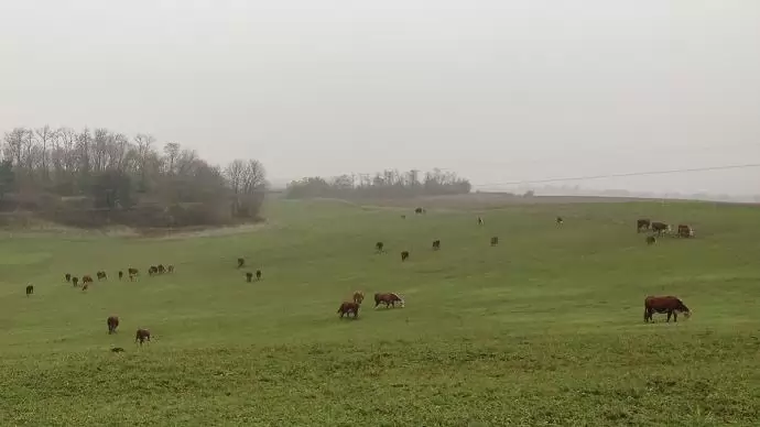 December 2-ig lehet beadni az új AKG-pályázatokat