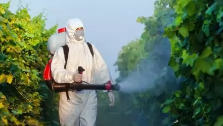 Európa jövője: a növényvédelem jövője, ahogy a jelen problémáinak szemszögéből látható