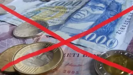 Forráskimerülés miatt pályázatokat függesztettek fel 