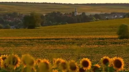Jövő év végéig kell teljesíteni a képzési kötelezettségeket