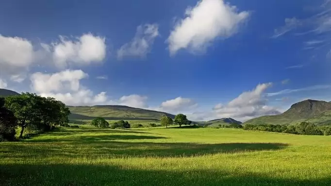 Kedvezően változik a zöldítés néhány szabálya