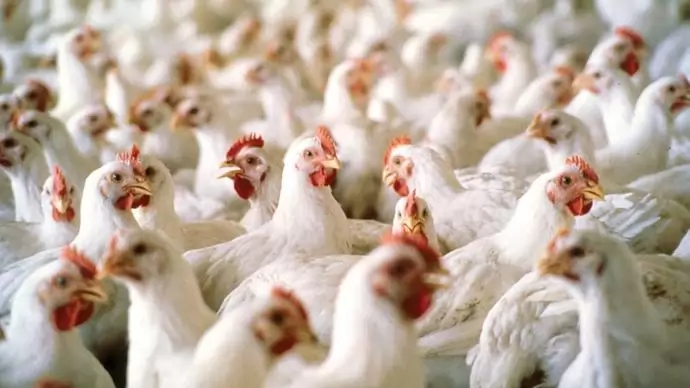 Önkéntes hiánypótlás a gyors kifizetésért