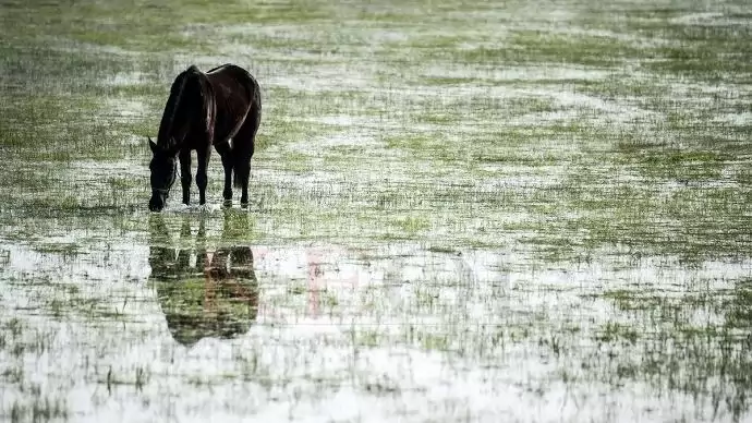 November végéig adhatóak be az idei kárenyhítési kérelmek