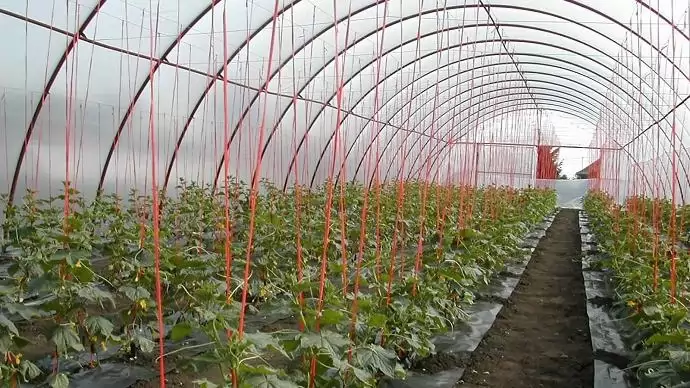 Három új vidékfejlesztési pályázat jelent meg