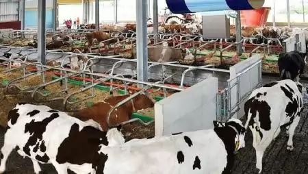 Rekorddöntő az EuroTier 2016