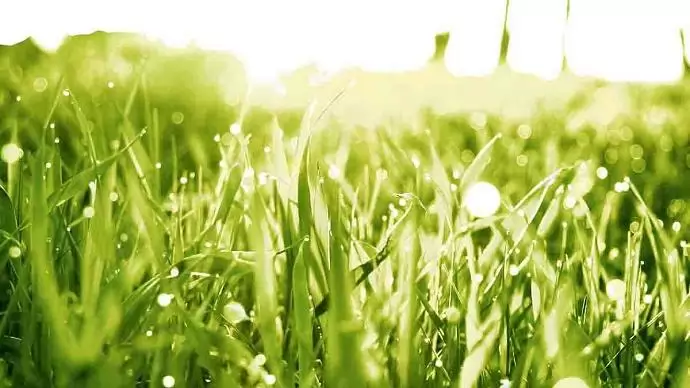 Magyarországon emelkedik a környezetvédelemre fordítható összeg 