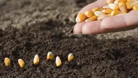 Mit ér néhány farmer élete?