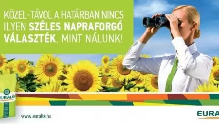 Innováció, teljesítmény, minőség és megbízhatóság